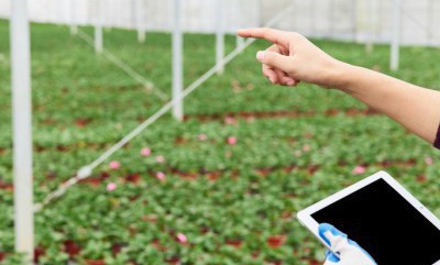 918.com(中国区)官方网站