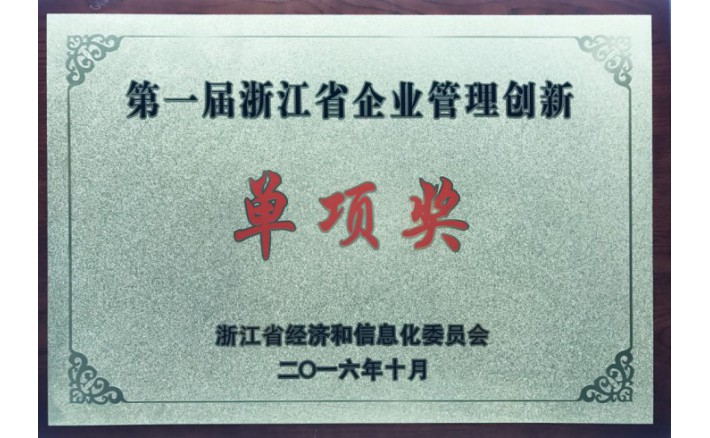 浙江省企业治理创新单项奖